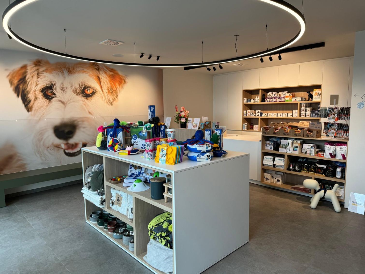 Dierenarts Kevin Langens